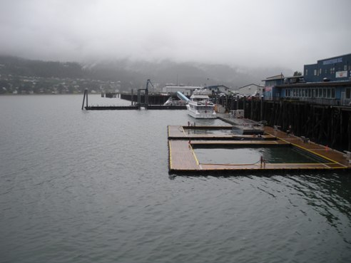 Juneau Harbour