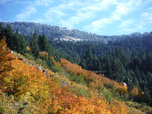 Bare Creek Valley