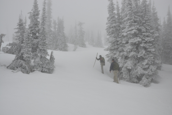 Icicle Ridge 