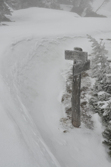 Icicle Ridge Trail 