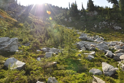 avalanche gulley 