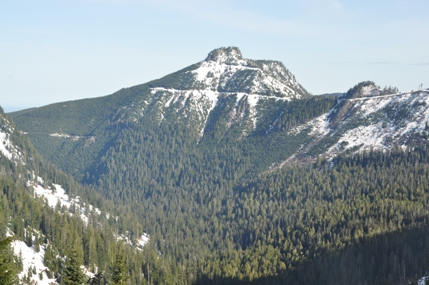 Hancocks Comb