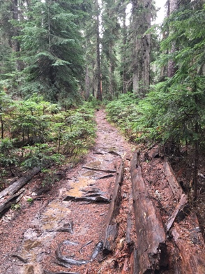 cooper river trail