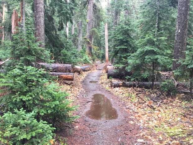 Pete Lake Trail