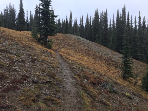 Polallie Ridge Trail