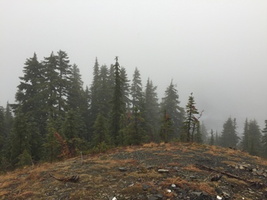 Polallie Ridge 