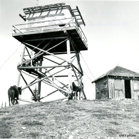 Polallie Ridge Lookout 