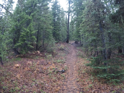 Tired Creek Trail