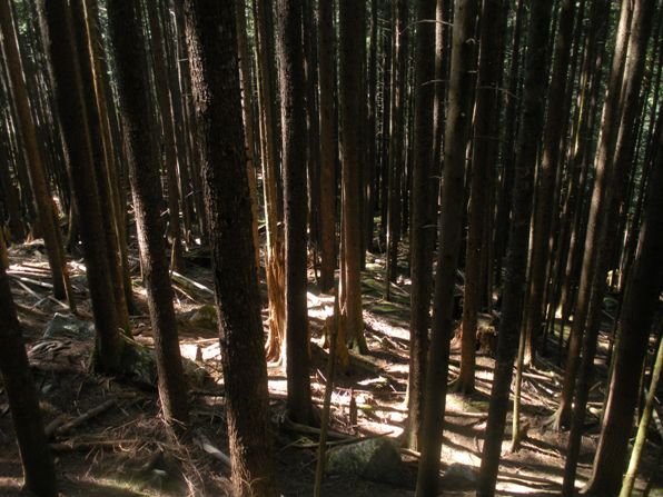 Rainy Lake Trail