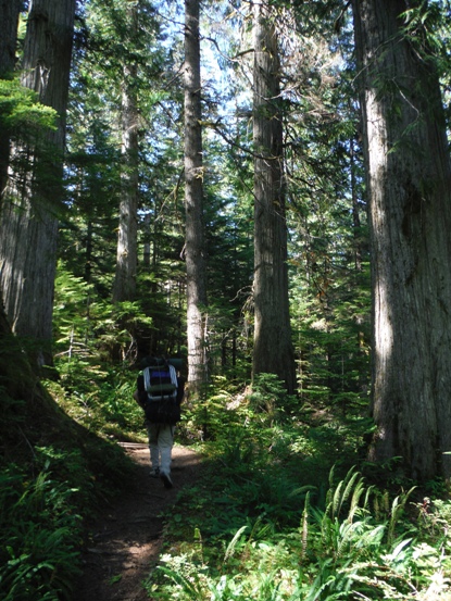 surprise lake trail