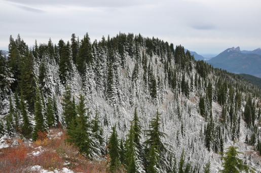 Mount Finn