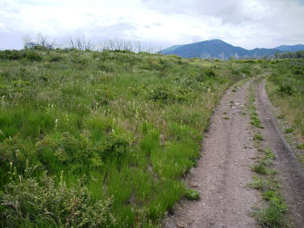 Cascade Springs Hill summit