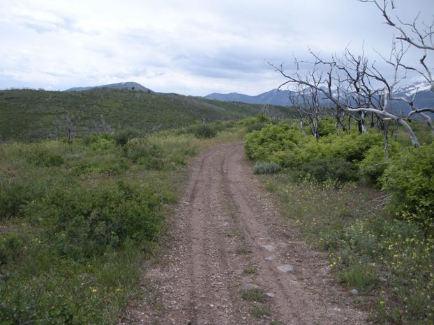 Cascade Springs Hill Utah