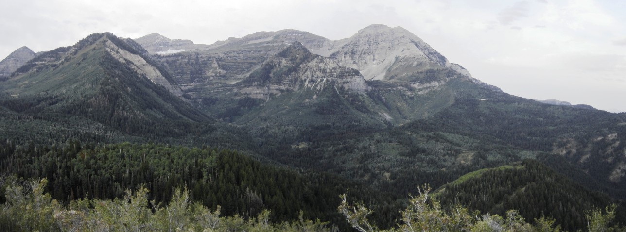 Mt. Timpanogos 