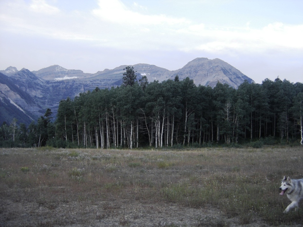 East side of Mt. Timpanogos