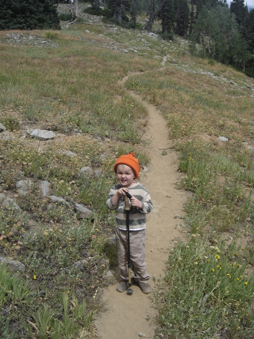 Clayton Peak trail