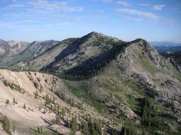 Mt. Wolverine from Sunset Peak