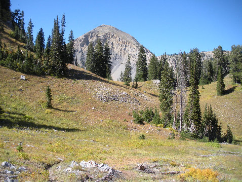 Box Elder Trail