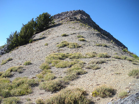 Box Elder Trail