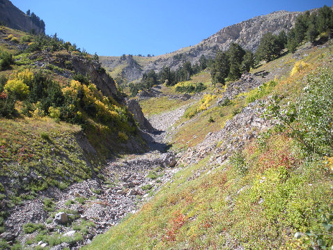 Box Elder Trail