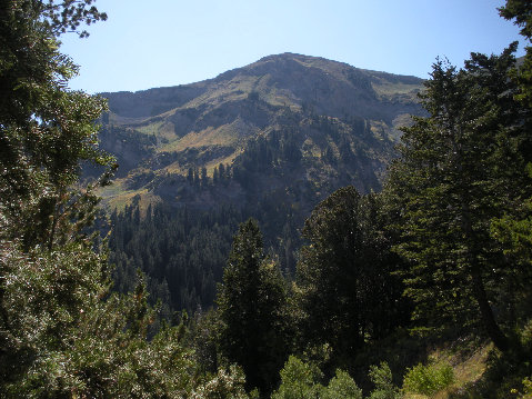 Box Elder South Peak