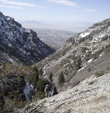 Grove Creek Canyon