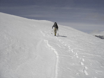 summit of Mahogany Mountain