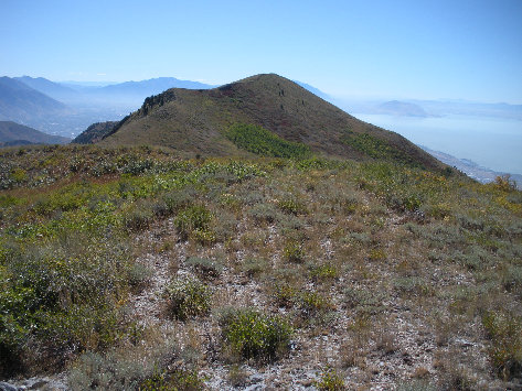 Mahogany Mountain from north peak