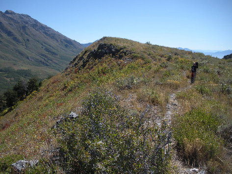 Mahogany North Peak