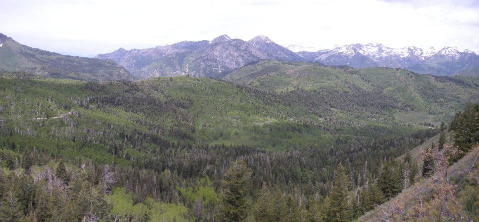 Box Elder Peak 