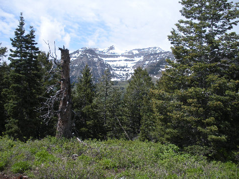 Mt. Timpanogos 