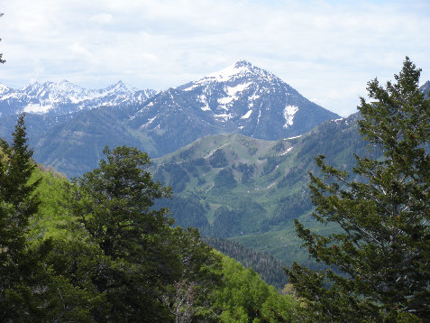 Sundance Ski area 