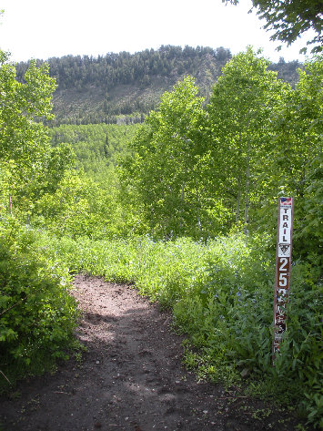 hiking trail