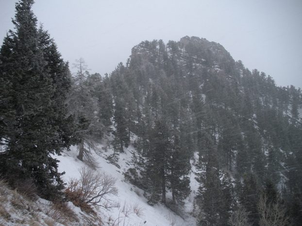 dharma peak