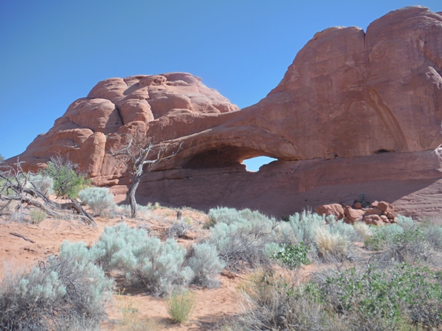 Eye of the Whale Arch