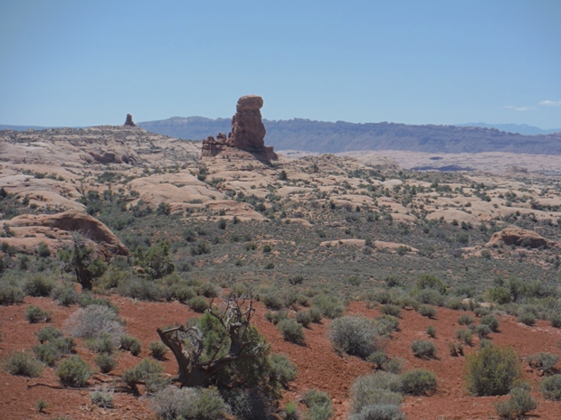 Petrified Dunes