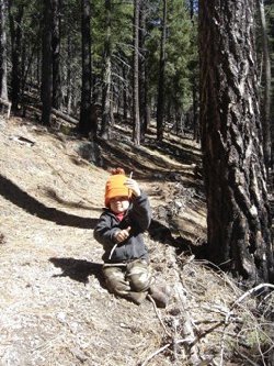 Chiricahua Peak trail