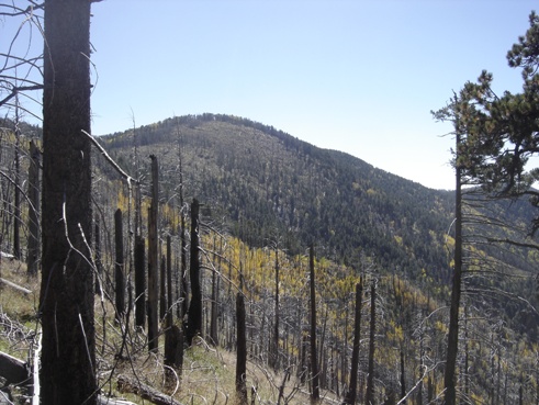 Chiricahua Peak after Cima Park