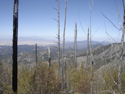 Chiricahua Peak views