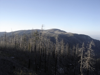 Mount Graham