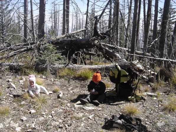 Mount Graham summit