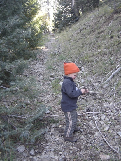 Mount Graham trail