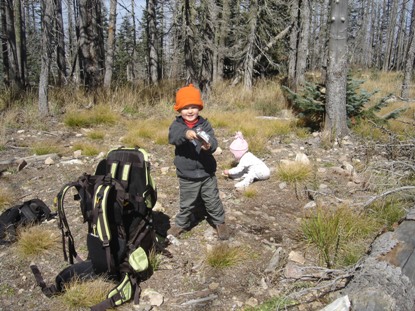 Mount Graham trail