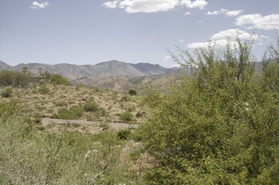 Mt. Lemmon