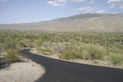 Saguaro National Park