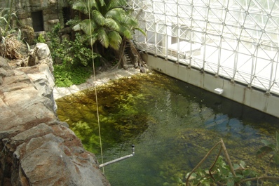 Biosphere 2 tropical beach 