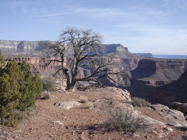 Grand Canyon National Park