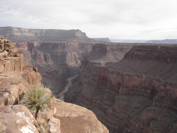 Toroweap Overlook