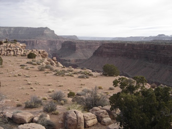 Toroweap Overlook