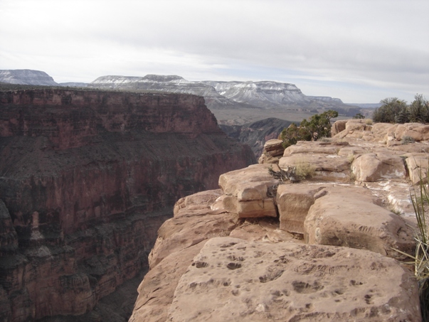 Toroweap Overlook